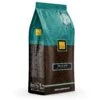 Filicori Zecchini Delicato Whole Bean - 12oz -Coffee Series Shop Delicato12ozWholeBean