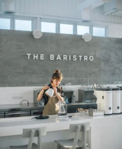 Brewista Artisan Electric Gooseneck Kettle - Pearl White -Coffee Series Shop IMG 2932newlogo